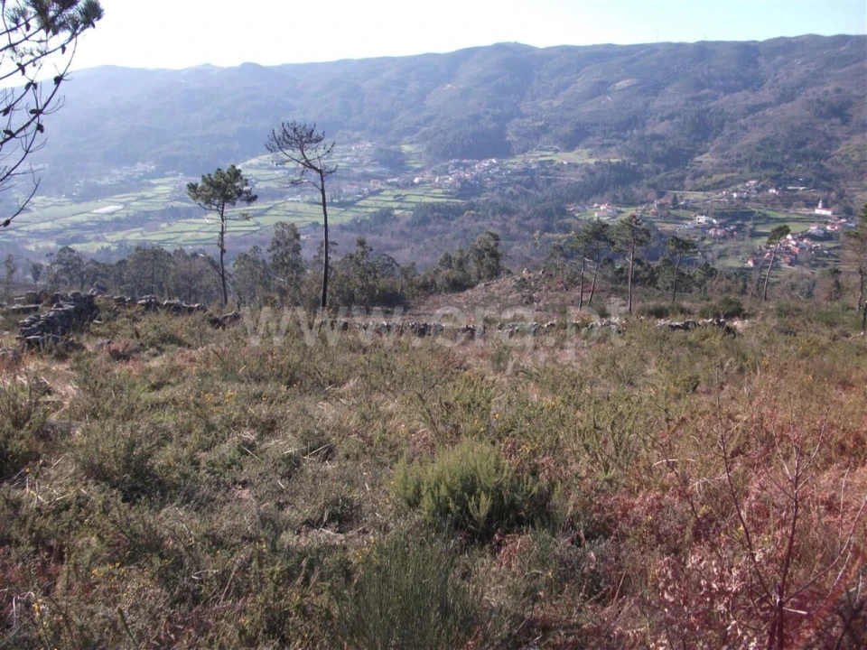 Terreno para Venda em Campelo e Ovil Foto 3