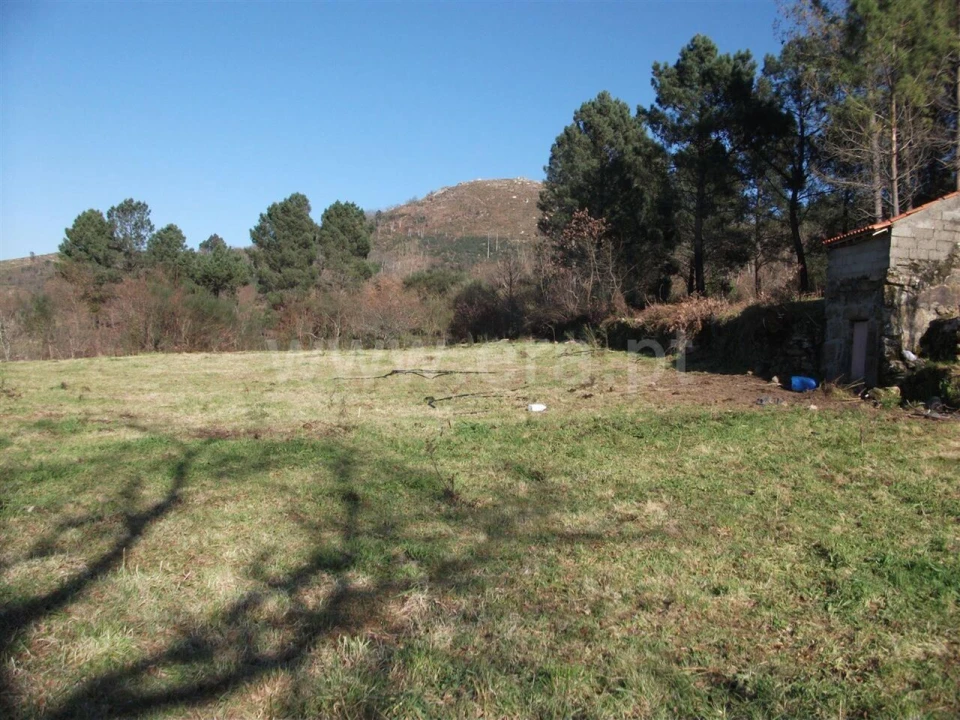 Terreno para Venda em Campelo e Ovil Foto 4