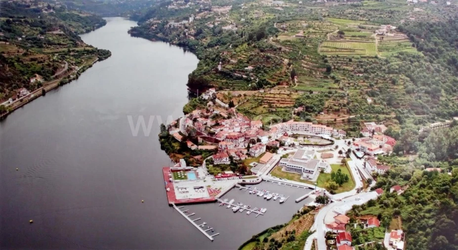 Negócio para Venda em Anreade e São Romão de Aregos Foto 1