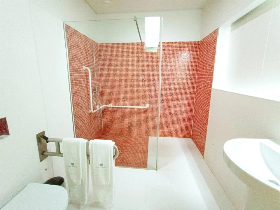 Negócio para Venda em Anreade e São Romão de Aregos Foto 15