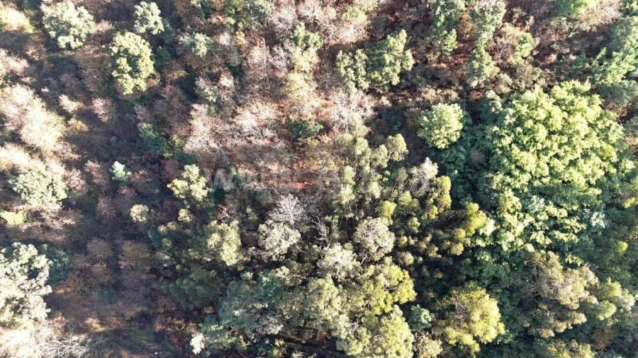 Terreno para Venda em Teixeira e Teixeiró