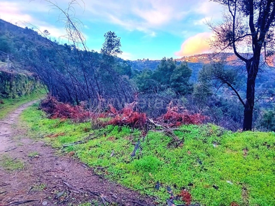 Terreno para Venda em Ancede e Ribadouro Foto 2