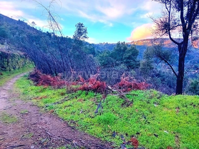Terreno para Venda em Ancede e Ribadouro Foto 2