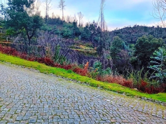 Terreno para Venda em Ancede e Ribadouro Foto 3