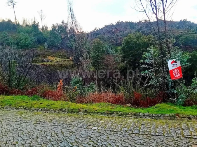 Terreno para Venda em Ancede e Ribadouro Foto 5