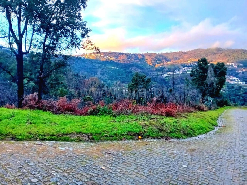 Terreno para Venda em Ancede e Ribadouro Foto 1