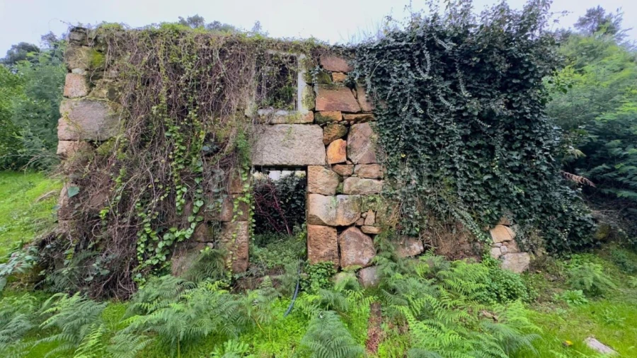 Quinta T0 para Venda em Santa Cruz do Douro e São Tomé de Covelas Foto 15