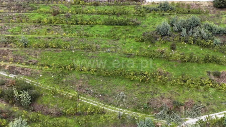 Quinta T0 para Venda em Santa Cruz do Douro e São Tomé de Covelas Foto 19