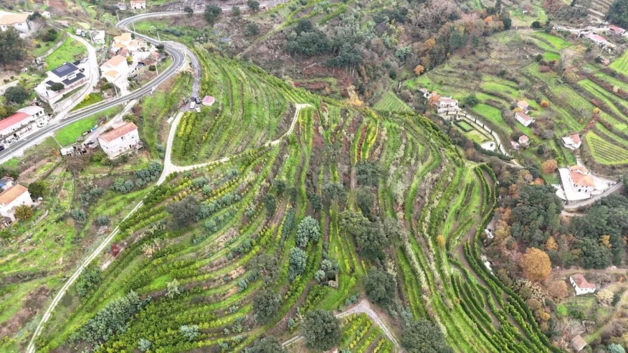 Quinta T0 para Venda em Santa Cruz do Douro e São Tomé de Covelas Foto 1