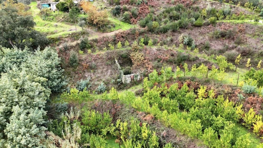 Quinta T0 para Venda em Santa Cruz do Douro e São Tomé de Covelas Foto 4