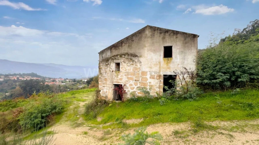 Quinta T0 para Venda em Santa Cruz do Douro e São Tomé de Covelas Foto 3