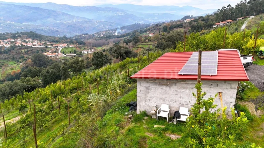 Quinta T0 para Venda em Santa Cruz do Douro e São Tomé de Covelas Foto 7