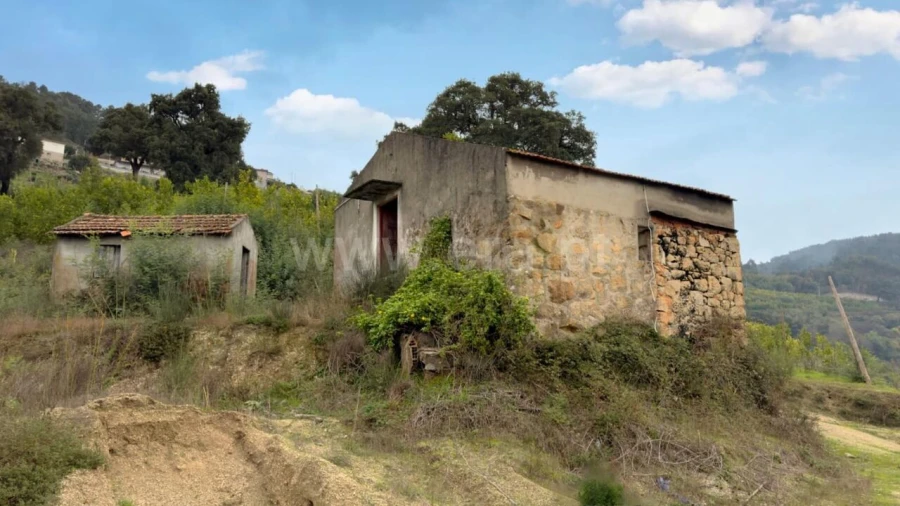 Quinta T0 para Venda em Santa Cruz do Douro e São Tomé de Covelas Foto 10