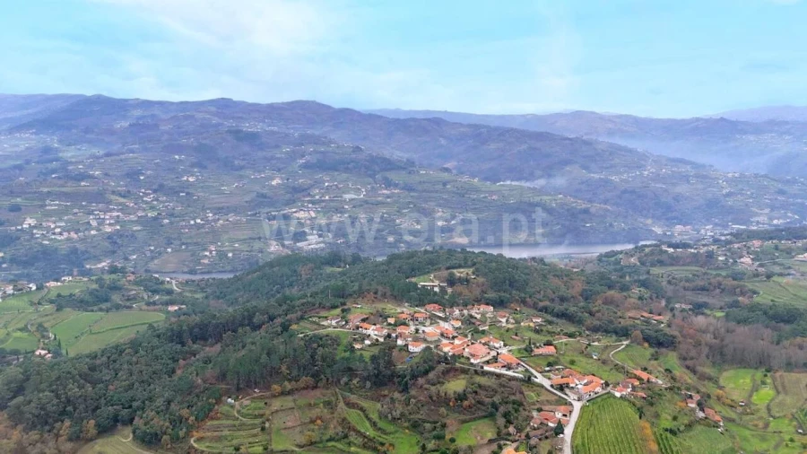 Quinta T0 para Venda em Santa Cruz do Douro e São Tomé de Covelas Foto 12