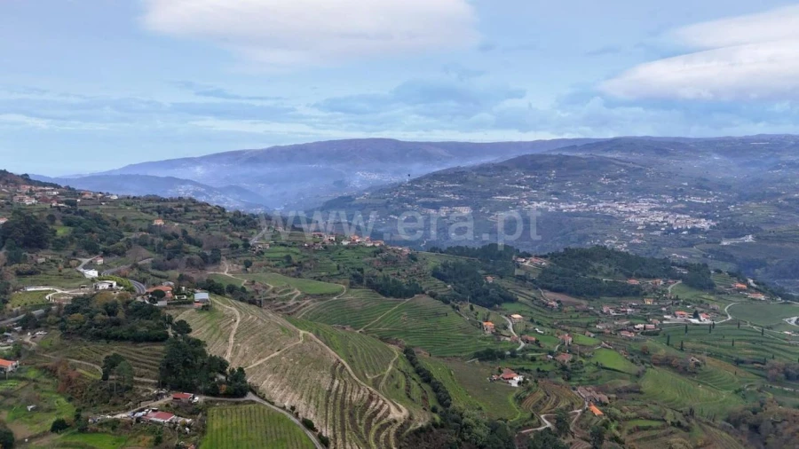Quinta T0 para Venda em Santa Cruz do Douro e São Tomé de Covelas Foto 8