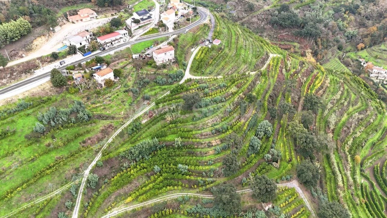 Quinta T0 para Venda em Santa Cruz do Douro e São Tomé de Covelas Foto 16
