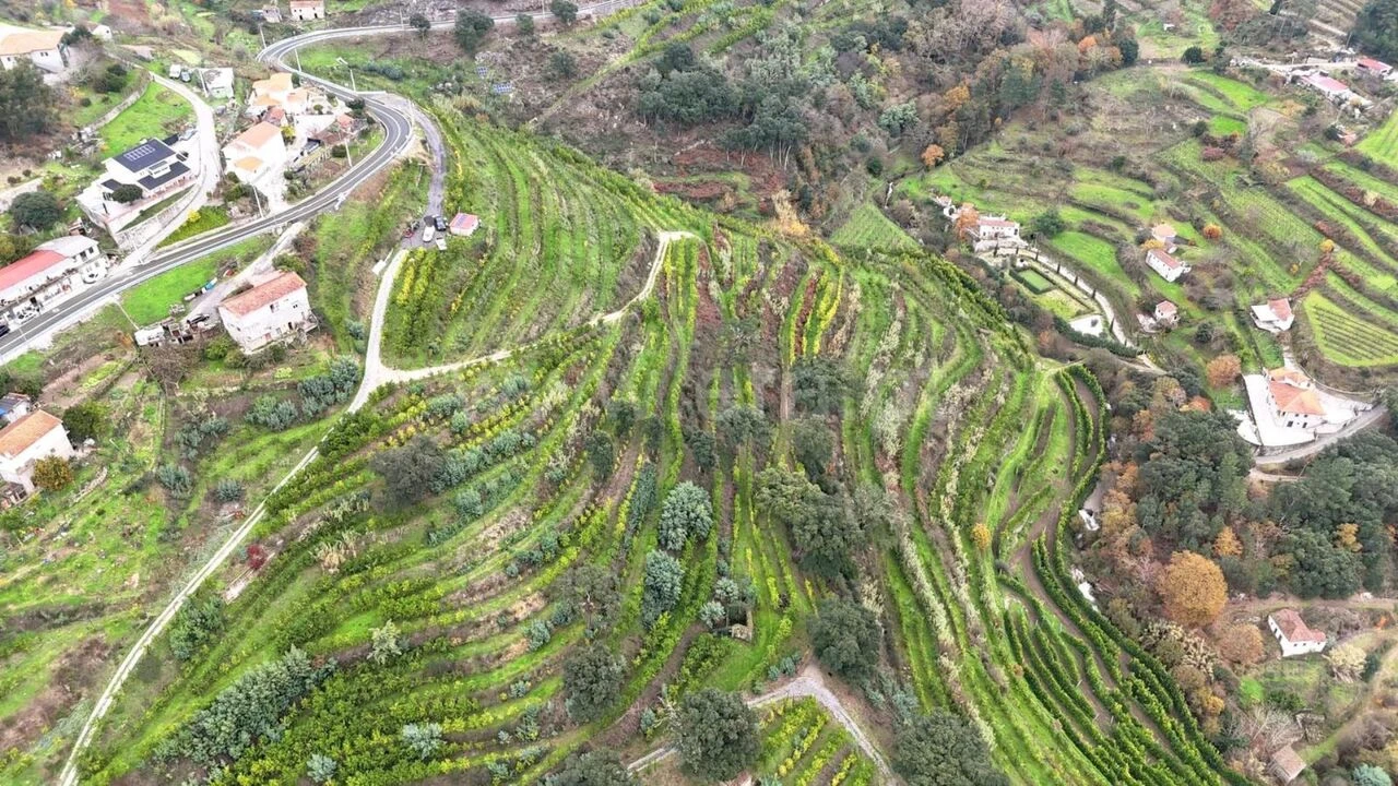Quinta T0 para Venda em Santa Cruz do Douro e São Tomé de Covelas Foto 1