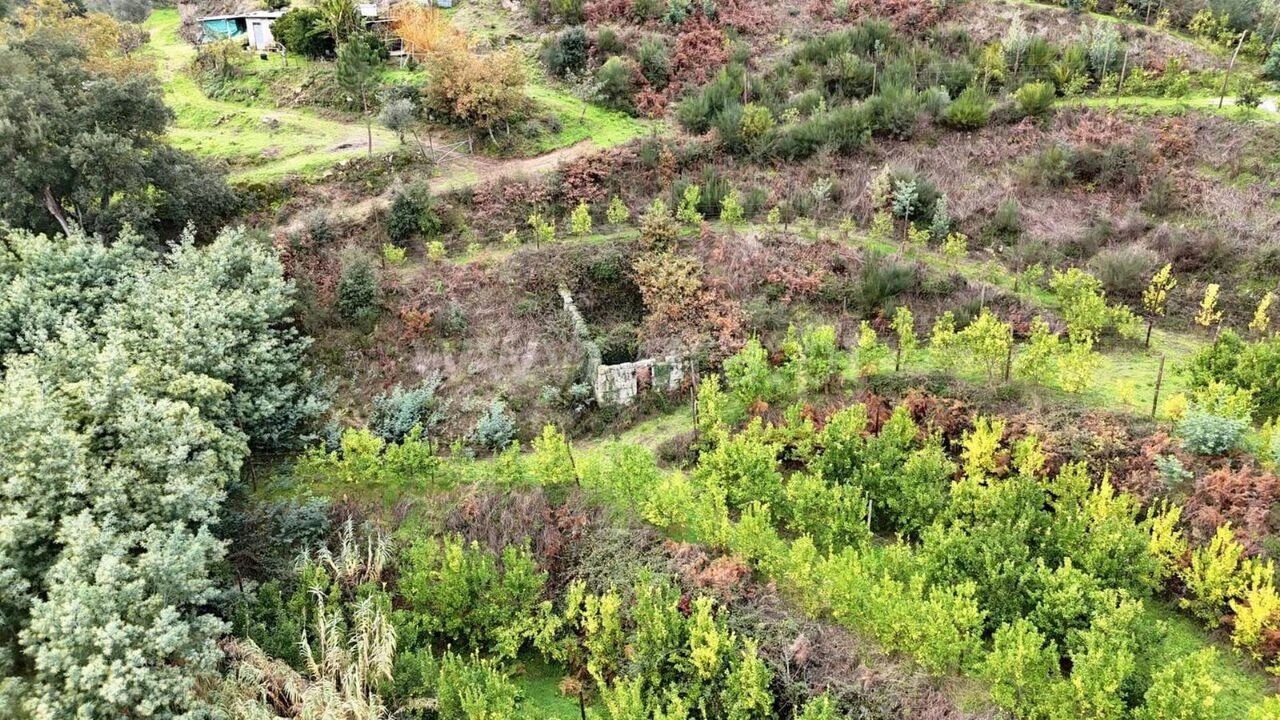 Quinta T0 para Venda em Santa Cruz do Douro e São Tomé de Covelas Foto 4