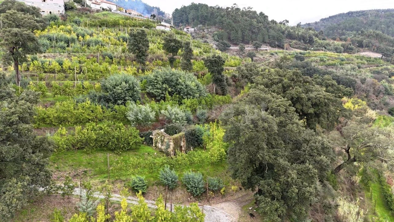 Quinta T0 para Venda em Santa Cruz do Douro e São Tomé de Covelas Foto 9