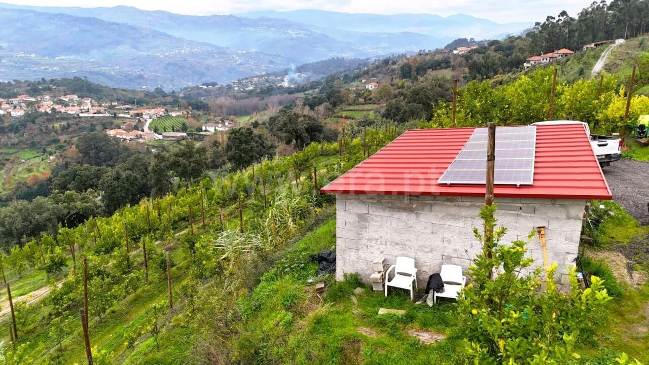 Quinta T0 para Venda em Santa Cruz do Douro e São Tomé de Covelas Foto 7
