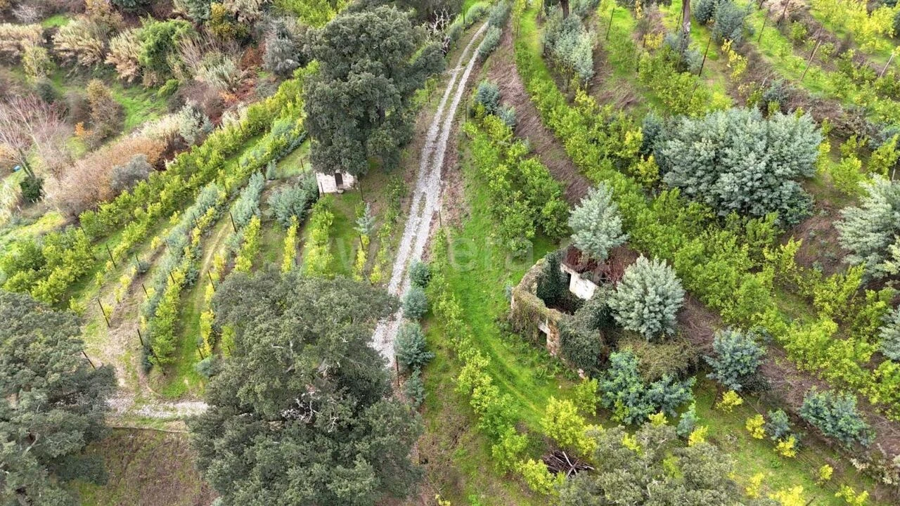 Quinta T0 para Venda em Santa Cruz do Douro e São Tomé de Covelas Foto 11