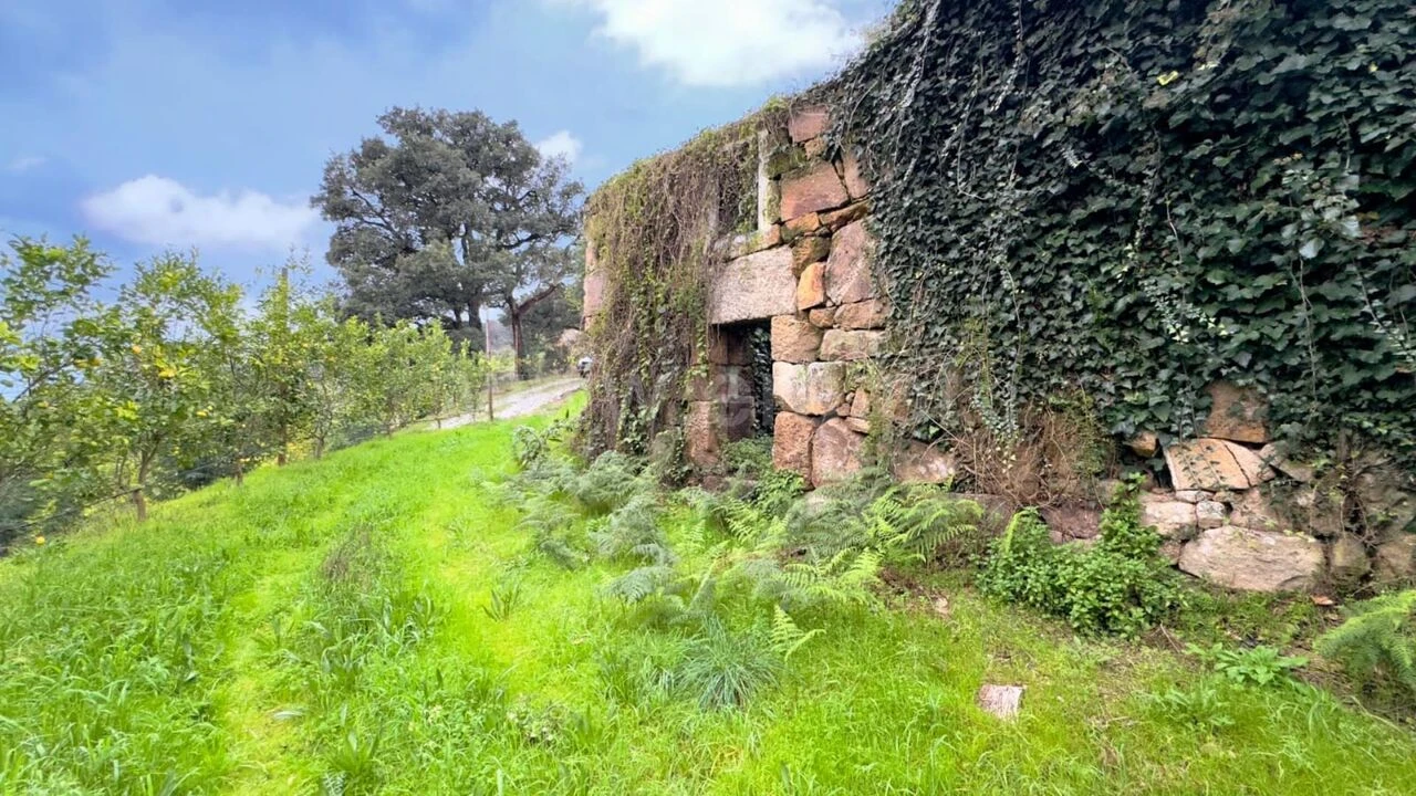 Quinta T0 para Venda em Santa Cruz do Douro e São Tomé de Covelas Foto 6