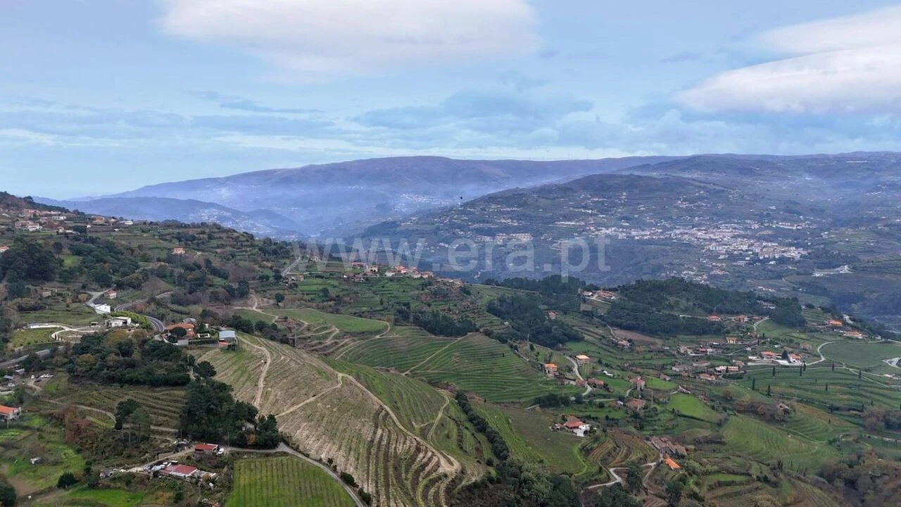 Quinta T0 para Venda em Santa Cruz do Douro e São Tomé de Covelas Foto 8