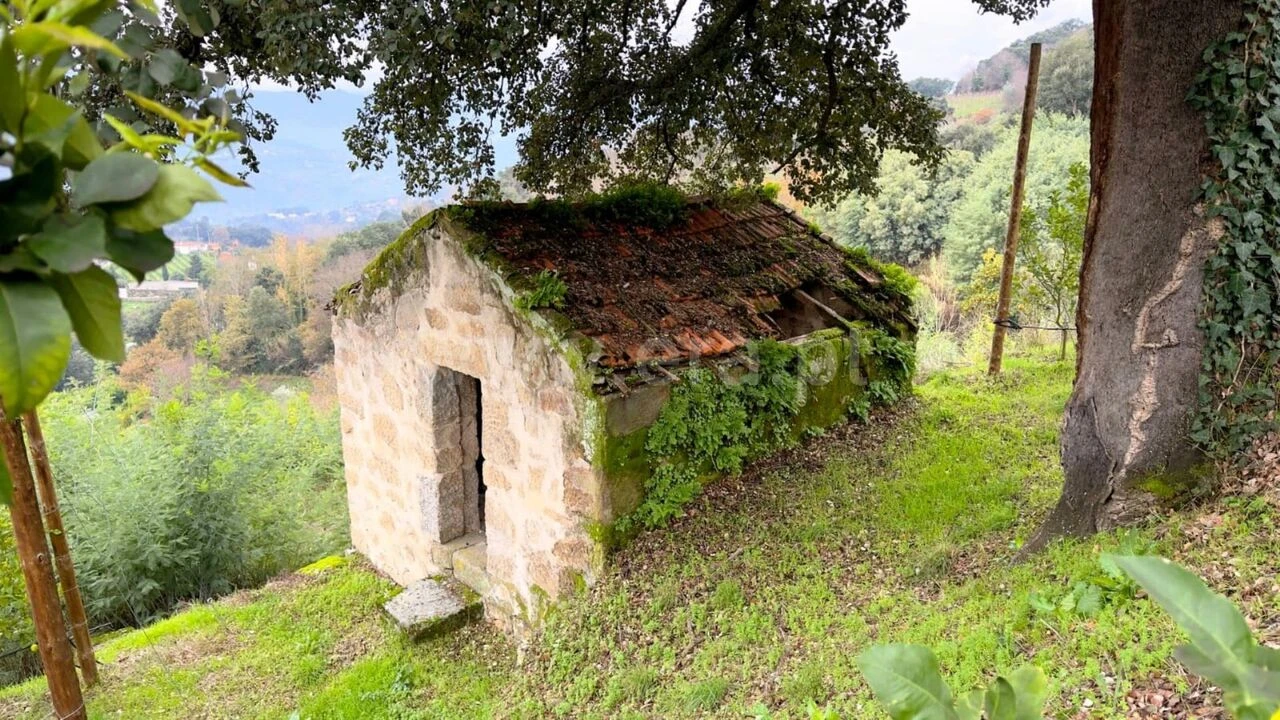 Quinta T0 para Venda em Santa Cruz do Douro e São Tomé de Covelas Foto 13