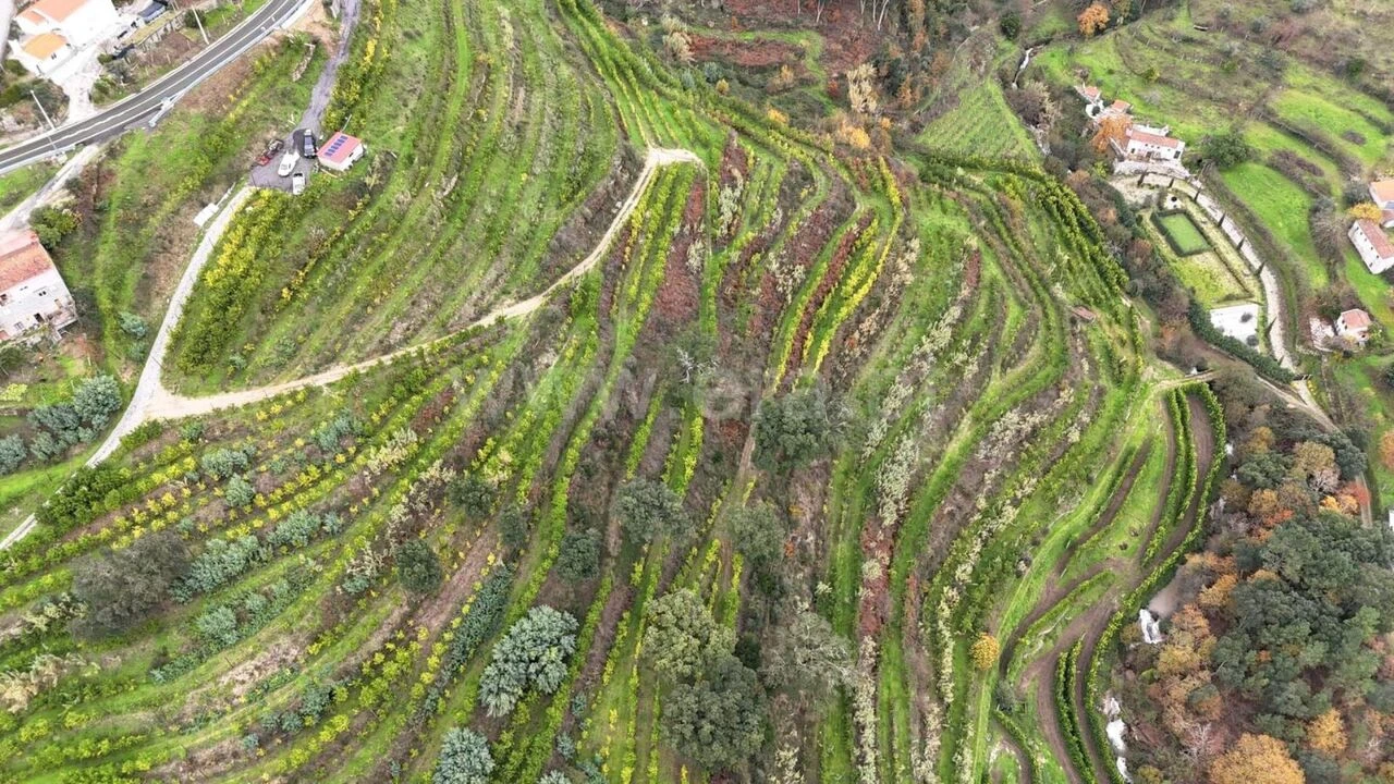 Quinta T0 para Venda em Santa Cruz do Douro e São Tomé de Covelas Foto 17