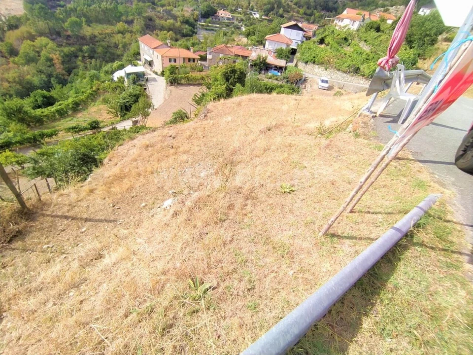 Terreno para Venda em Baião (Santa Leocádia) e Mesquinhata Foto 1