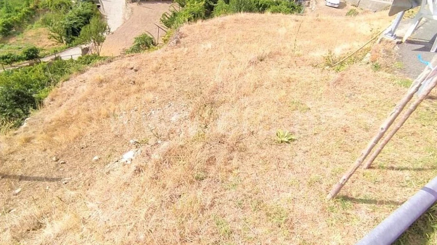 Terreno para Venda em Baião (Santa Leocádia) e Mesquinhata