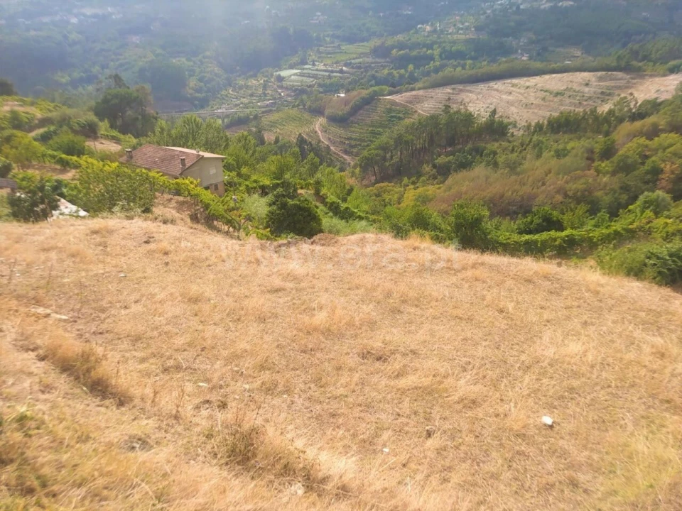 Terreno para Venda em Baião (Santa Leocádia) e Mesquinhata Foto 3