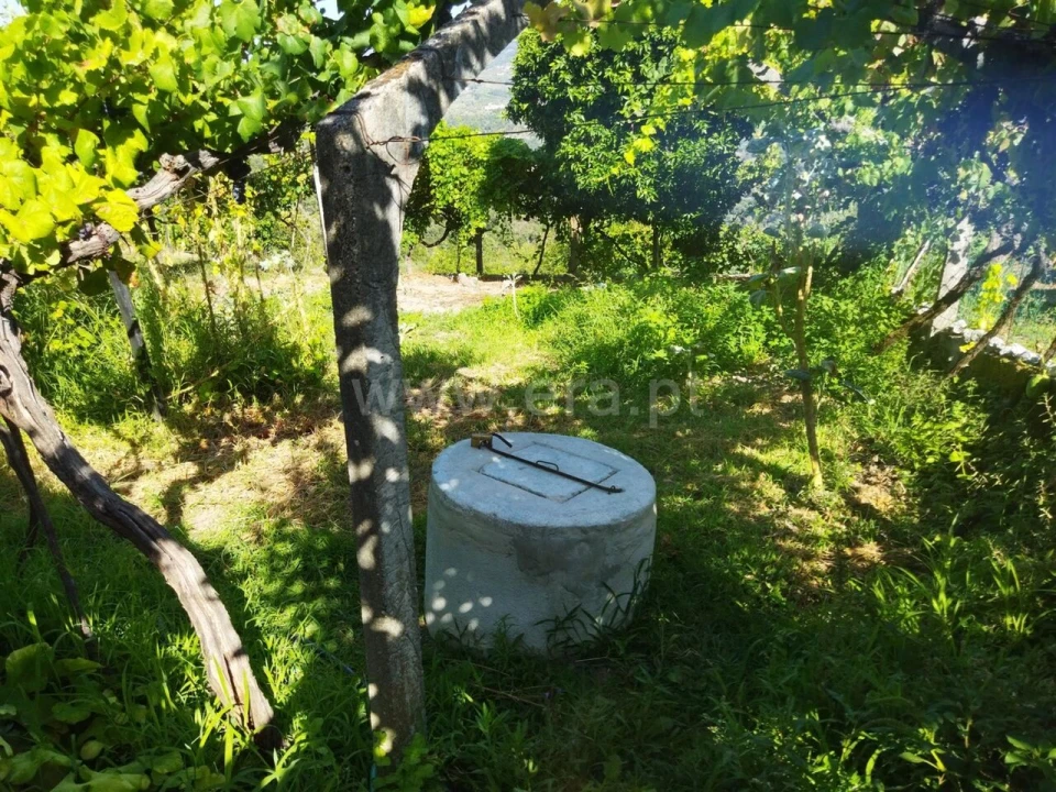 Quinta T0 para Venda em Ancede e Ribadouro Foto 9