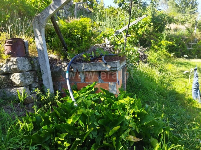 Quinta T0 para Venda em Ancede e Ribadouro Foto 6
