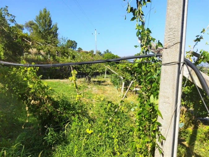 Quinta T0 para Venda em Ancede e Ribadouro Foto 5