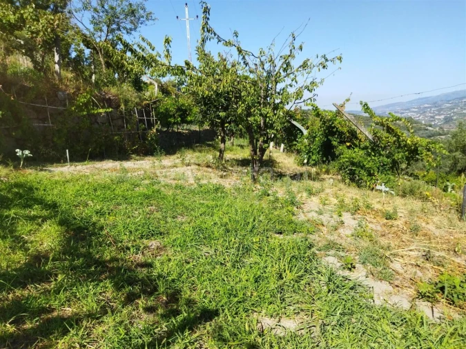 Quinta T0 para Venda em Ancede e Ribadouro Foto 7