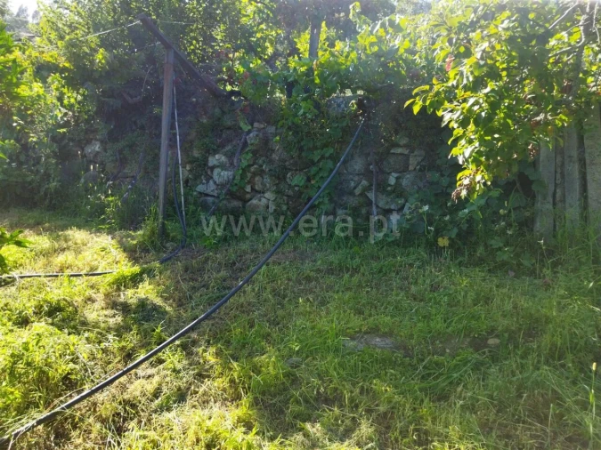 Quinta T0 para Venda em Ancede e Ribadouro Foto 11
