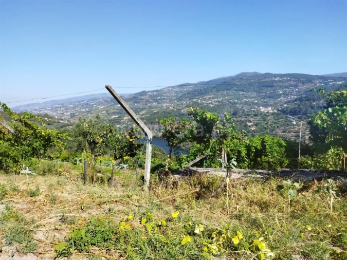 Quinta T0 para Venda em Ancede e Ribadouro Foto 8