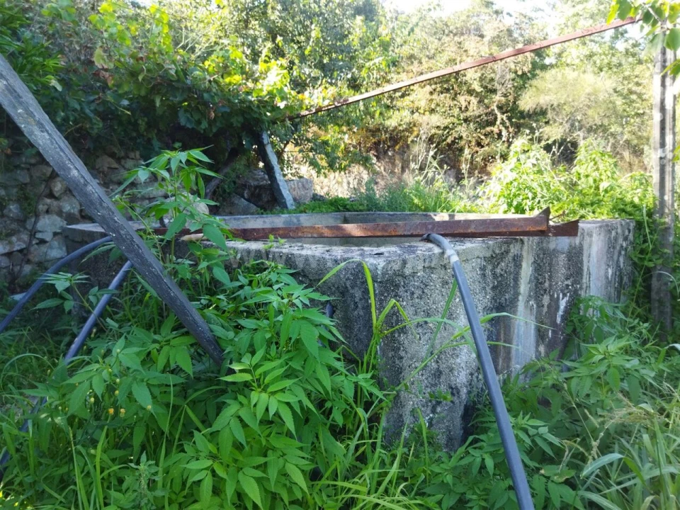 Quinta T0 para Venda em Ancede e Ribadouro Foto 13