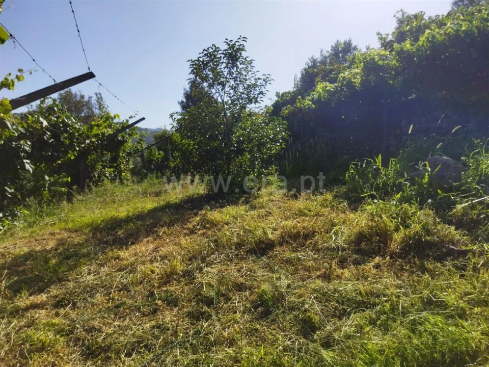 Quinta T0 para Venda em Ancede e Ribadouro Foto 12