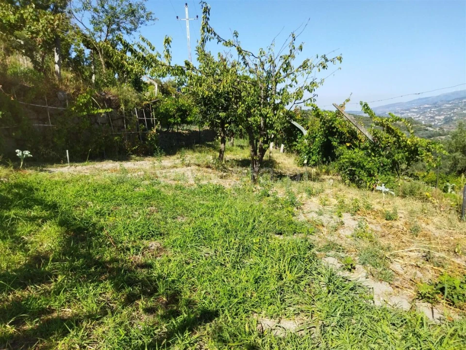 Quinta T0 para Venda em Ancede e Ribadouro Foto 7