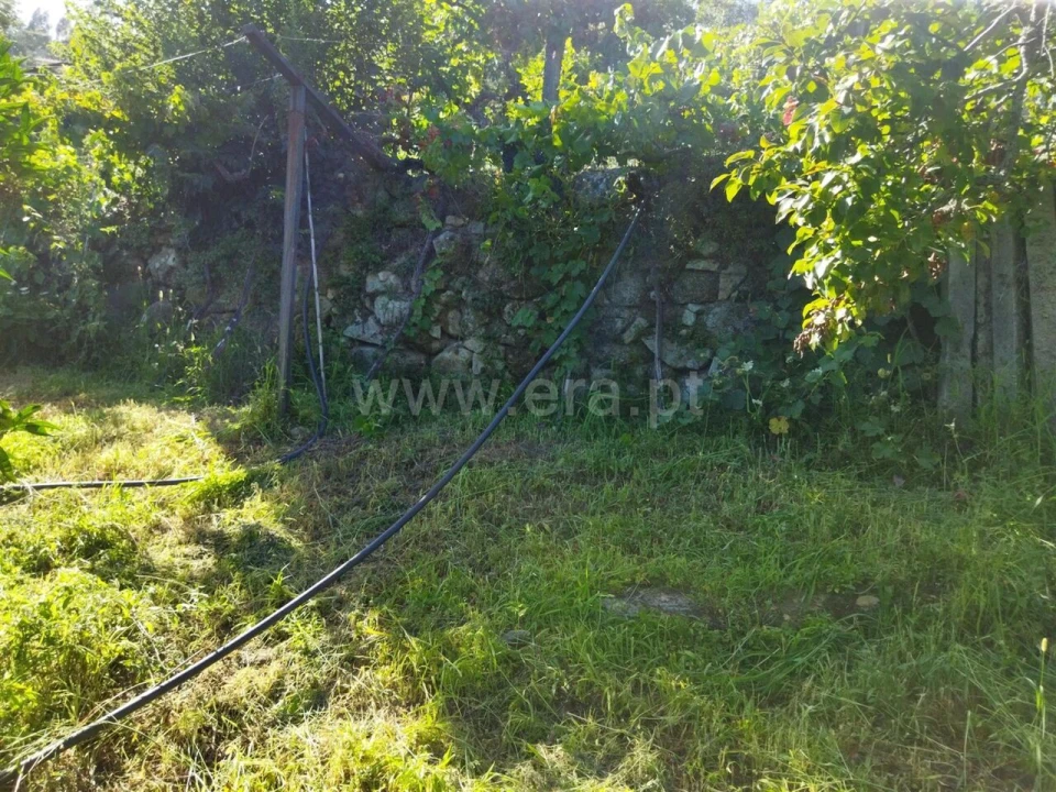 Quinta T0 para Venda em Ancede e Ribadouro Foto 11