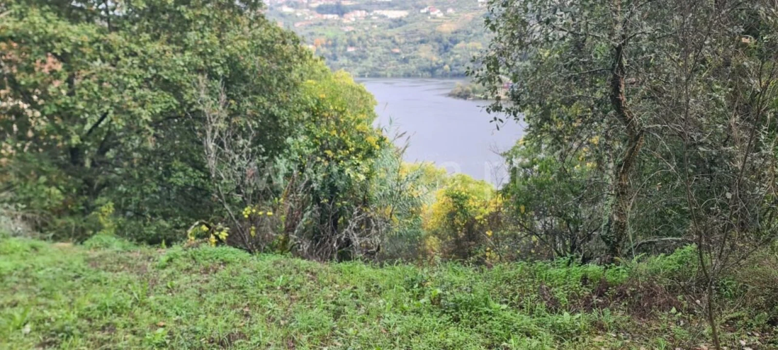 Quinta T0 para Venda em Santa Cruz do Douro e São Tomé de Covelas Foto 14