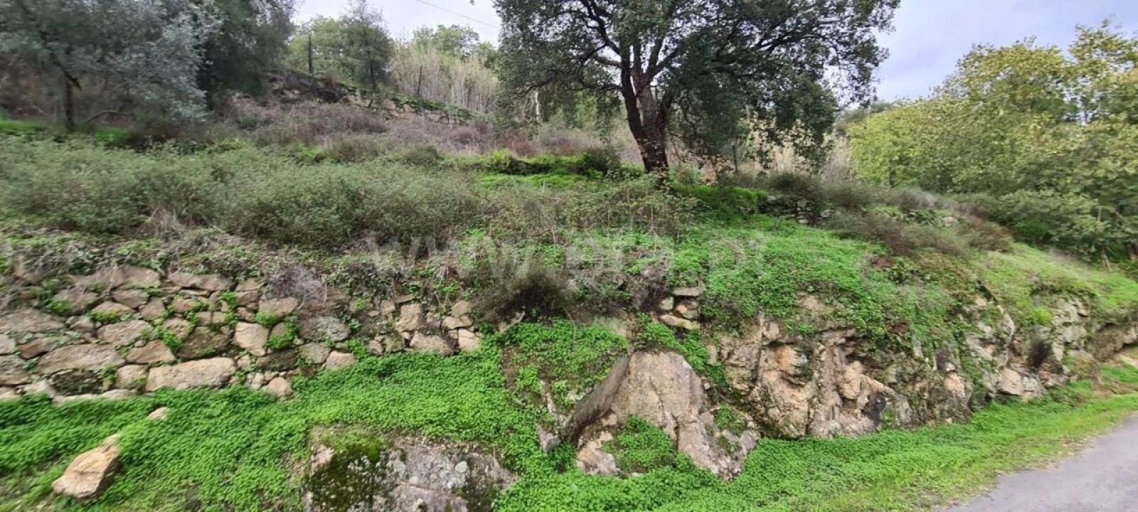 Quinta T0 para Venda em Santa Cruz do Douro e São Tomé de Covelas Foto 6