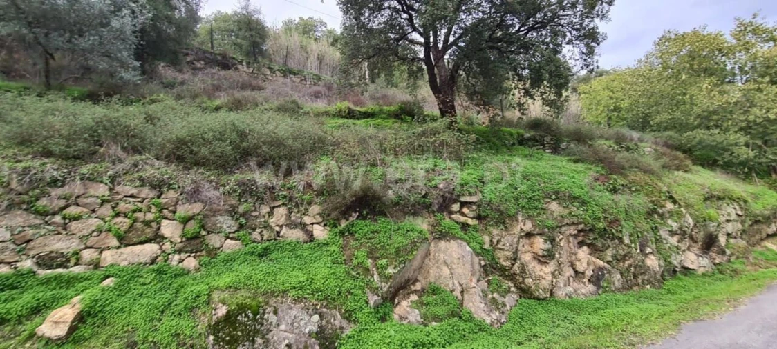 Quinta T0 para Venda em Santa Cruz do Douro e São Tomé de Covelas Foto 6