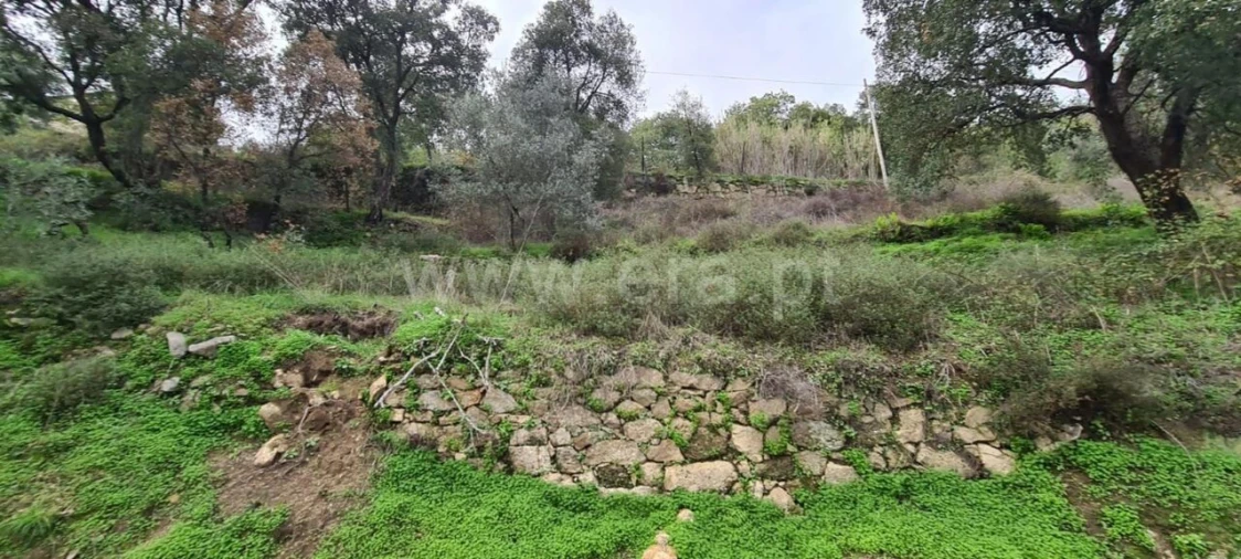 Quinta T0 para Venda em Santa Cruz do Douro e São Tomé de Covelas Foto 4
