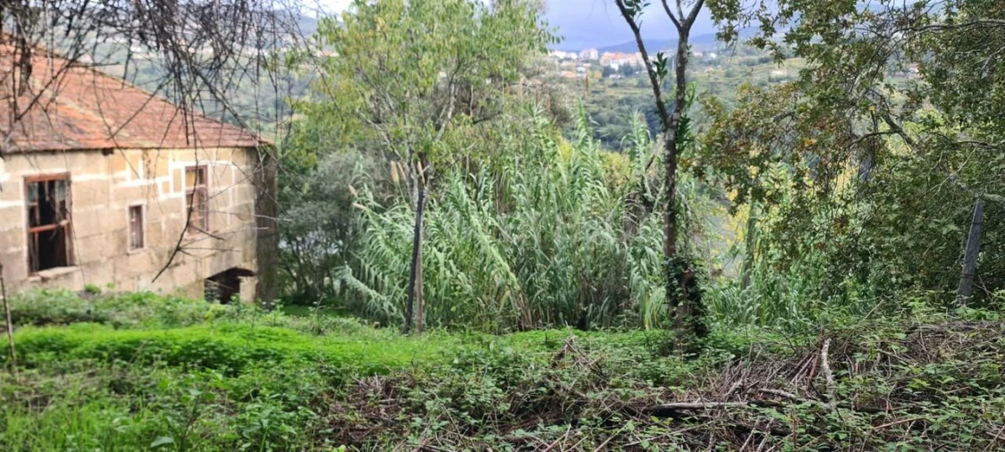 Quinta T0 para Venda em Santa Cruz do Douro e São Tomé de Covelas Foto 10
