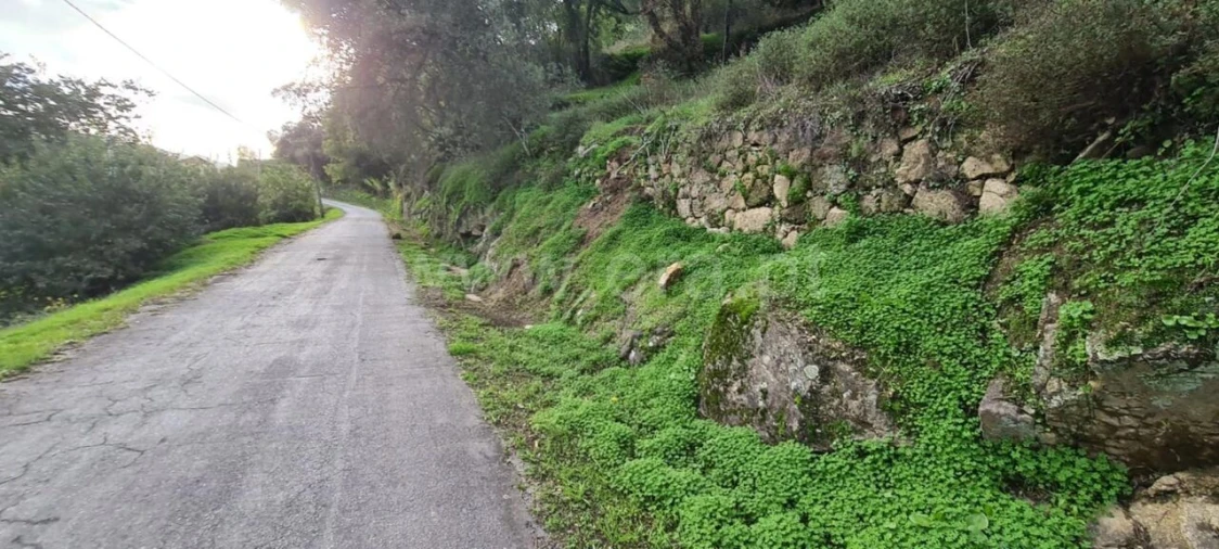Quinta T0 para Venda em Santa Cruz do Douro e São Tomé de Covelas Foto 7