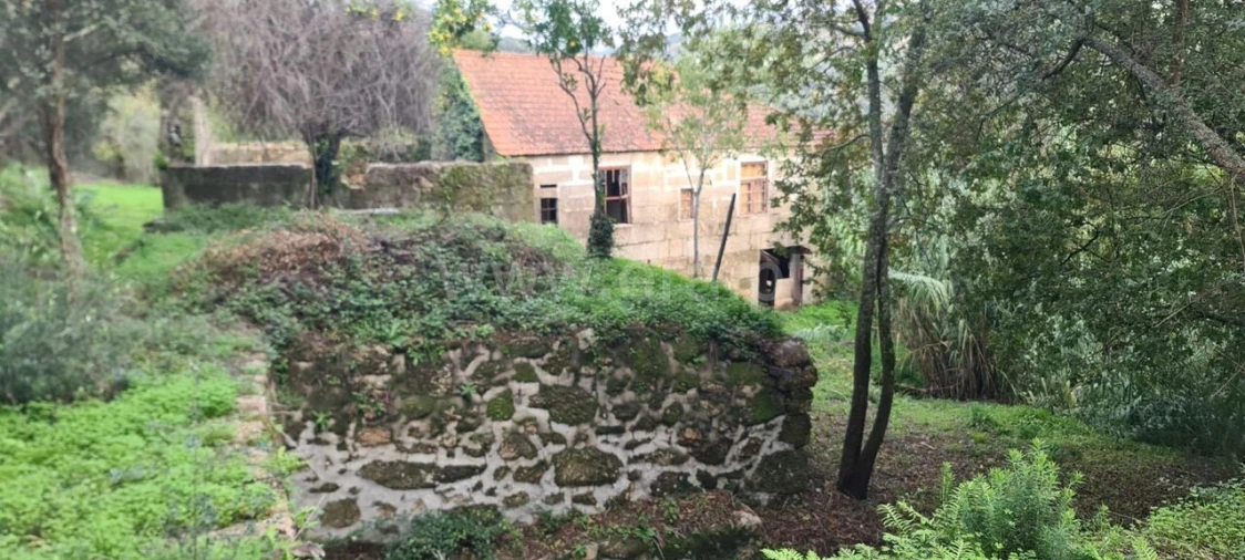 Quinta T0 para Venda em Santa Cruz do Douro e São Tomé de Covelas Foto 13