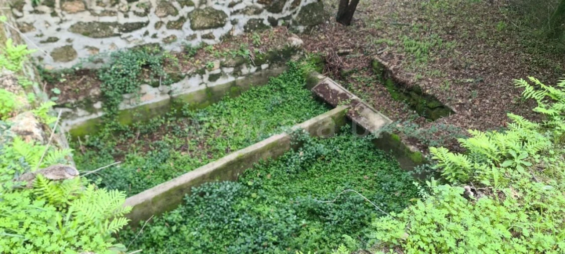 Quinta T0 para Venda em Santa Cruz do Douro e São Tomé de Covelas Foto 12